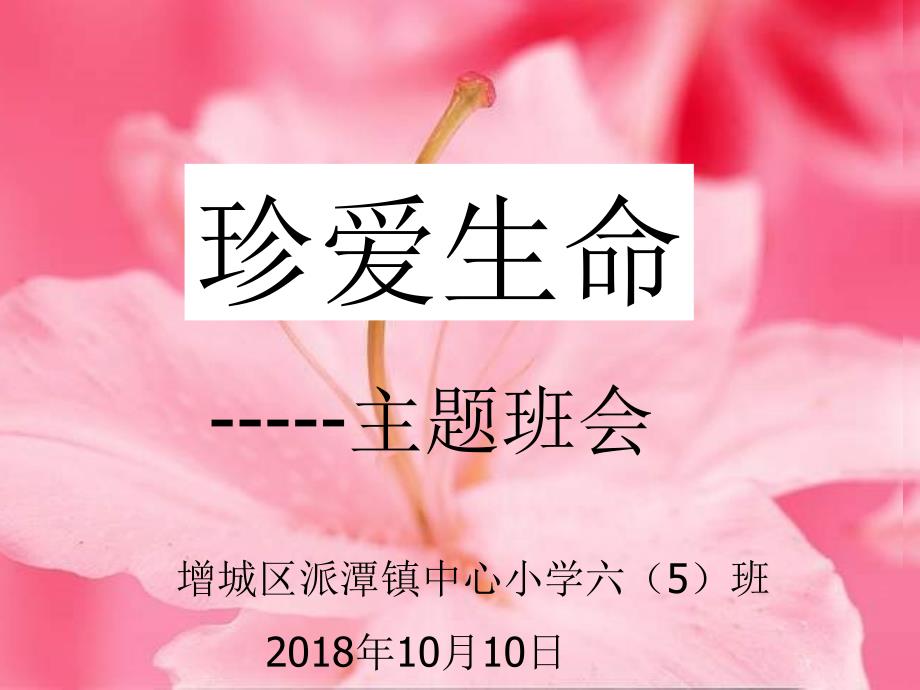 《珍爱生命》主题班会.ppt课件_第1页