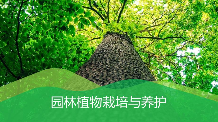 《园林植物栽培与养护》课件03项目三 园林植物养护管理_第1页