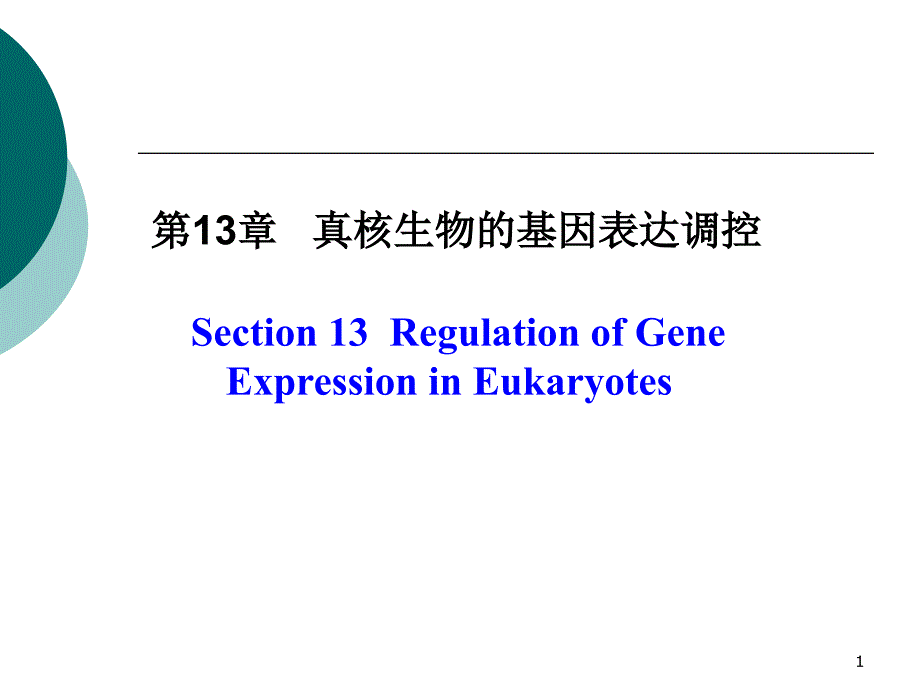 真核生物的基因表达调控课件_第1页