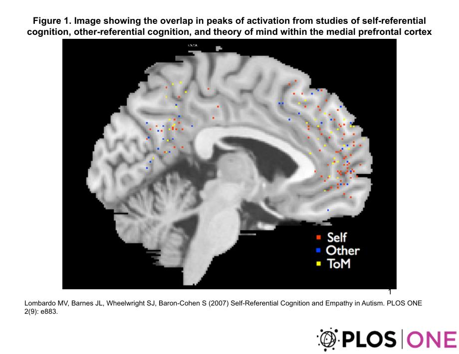 1.Imageshowingtheoverlapinpeaksofactivationfrom_第1页