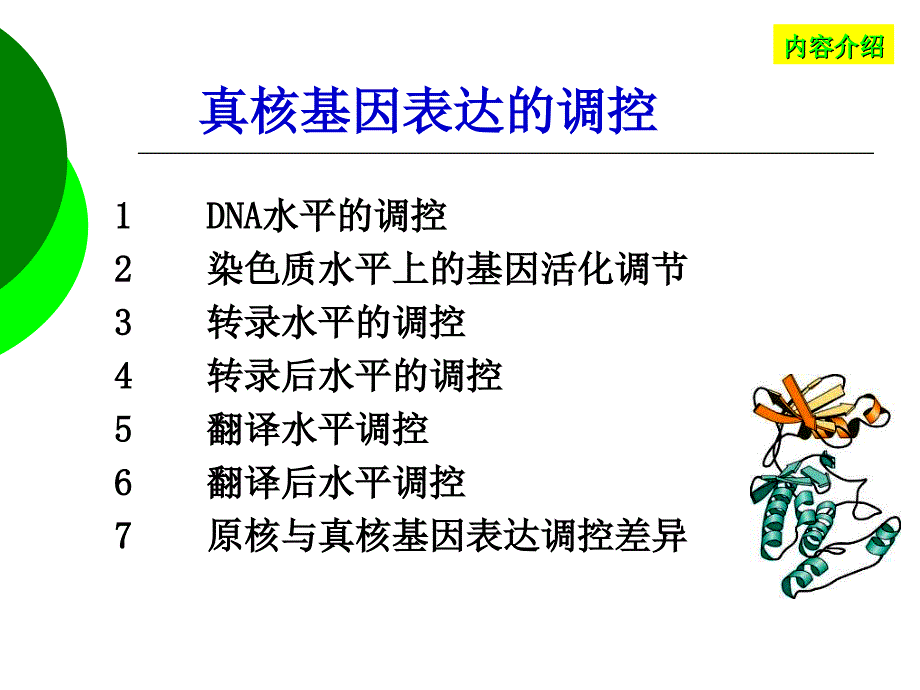 真核生物基因表达的调控课件_第1页