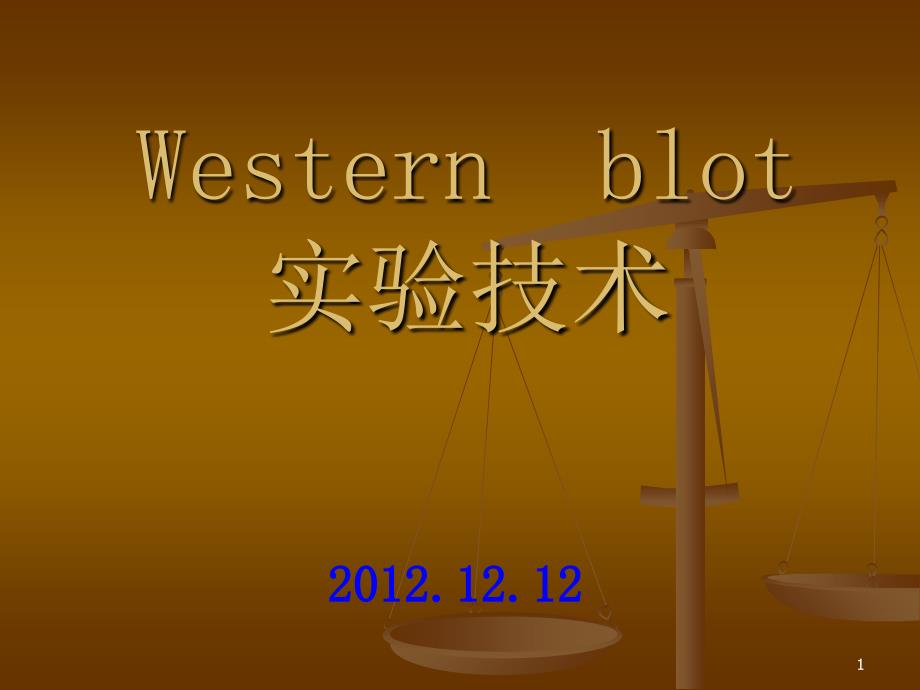 蛋白质印迹法 Western Blot技术_第1页