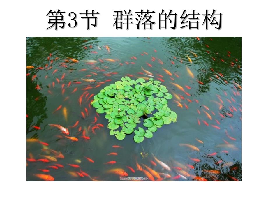 群落的结构文生物必修课件_第1页