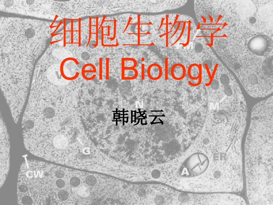 细胞生物学基本知识课件_第1页