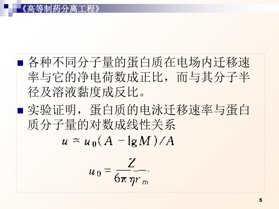 电泳和色谱分离技术应用_第1页