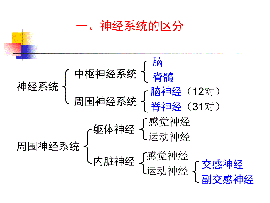 9-中枢神经系统-PPT文档资料课件_第1页