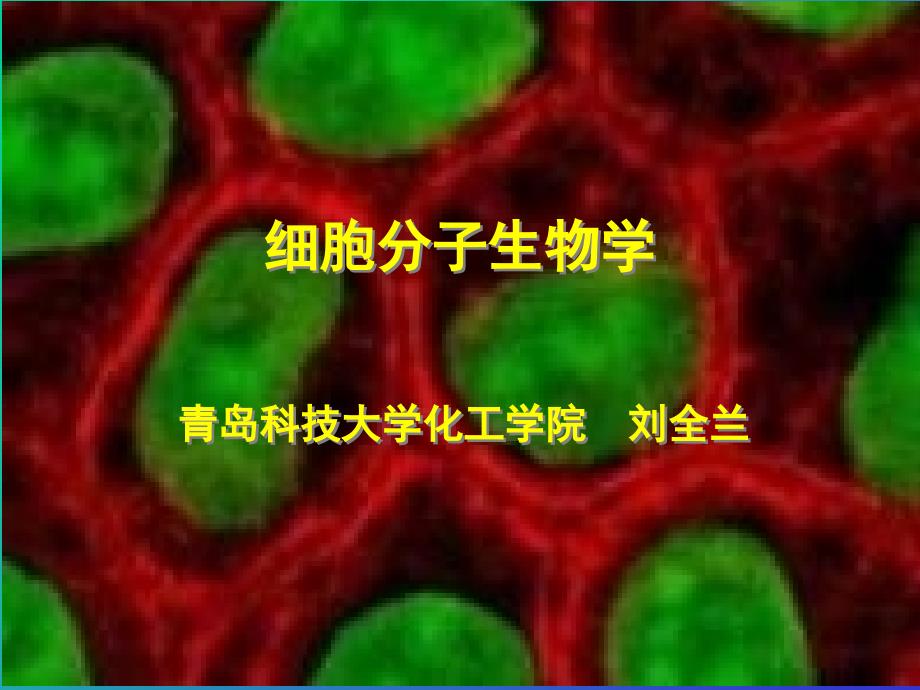 细胞分子生物学(4)课件_第1页