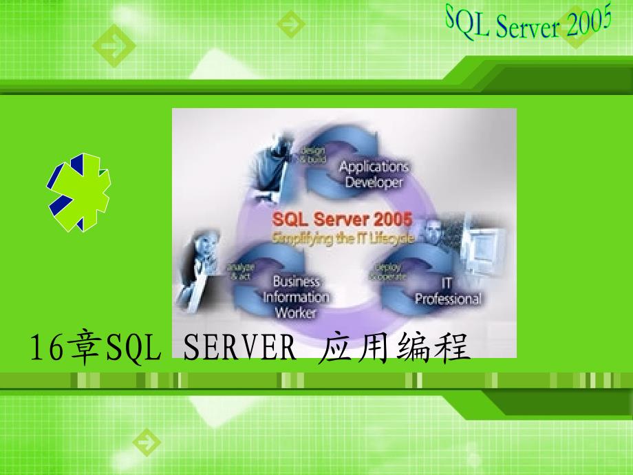 《SQLServer2005数据库技术及应用》课件第16章SQL SERVER 应用编程_第1页