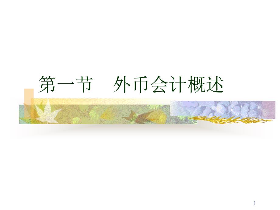 第一节外币会计概述_第1页