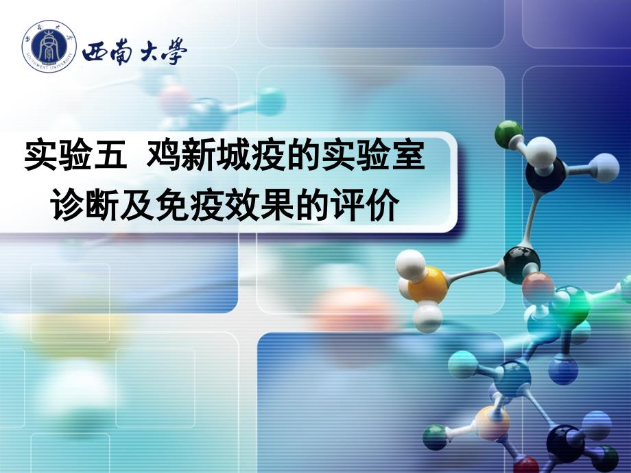 实验五 鸡新城疫的实验室诊断及免疫效果的评价_第1页