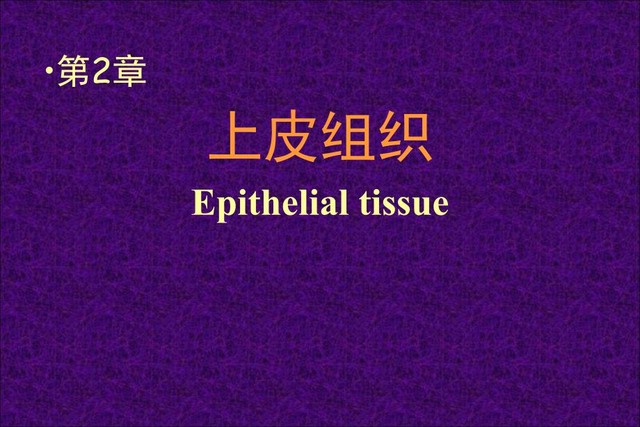 《组织学与胚胎学》课件2.Epithelial tissue_第1页