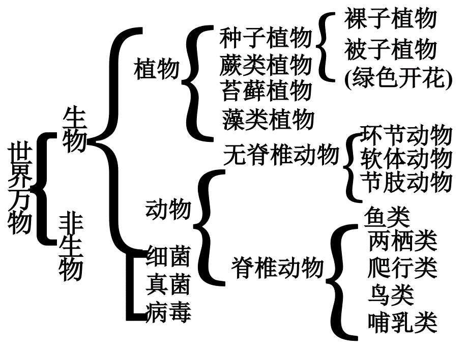 苏教版七年级生物上册复习提纲课件_第1页