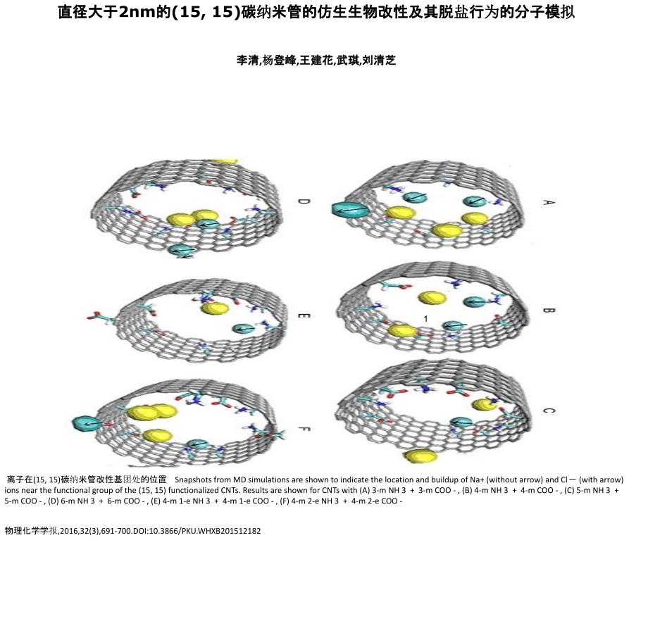 直径大于2nm的（15,15）碳纳米管的仿生生物改性及其脱盐_第1页