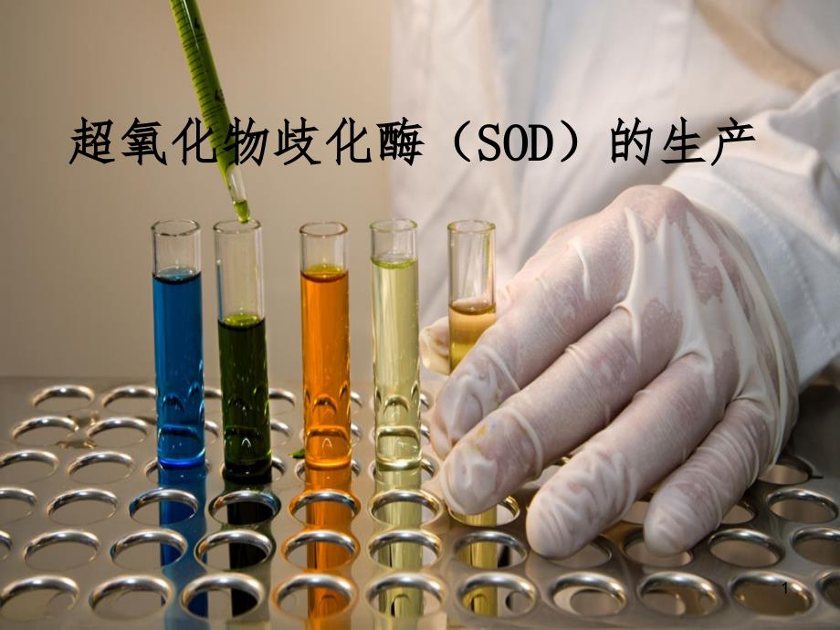 超氧化物歧化酶SOD的生产林志豪_第1页