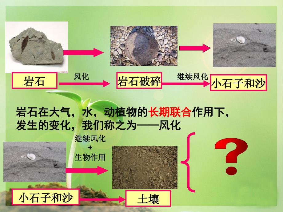 教科版五年级科学土壤中有什么_第1页