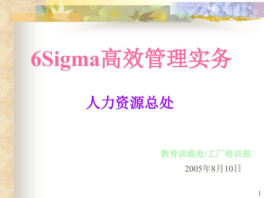 6SIGMA高效管理实务_第1页