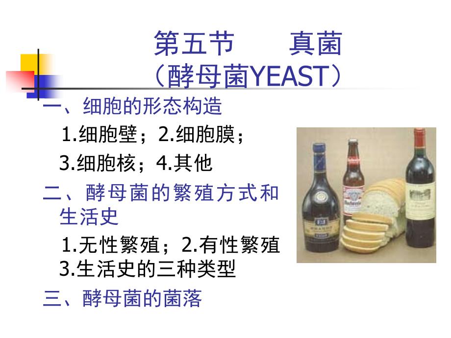 本科《basic_micro》课件fungi-yeast_第1页