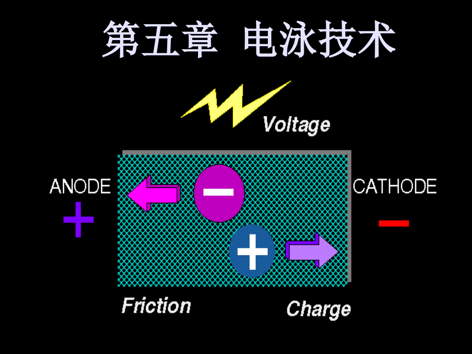 第五章电泳技术_第1页