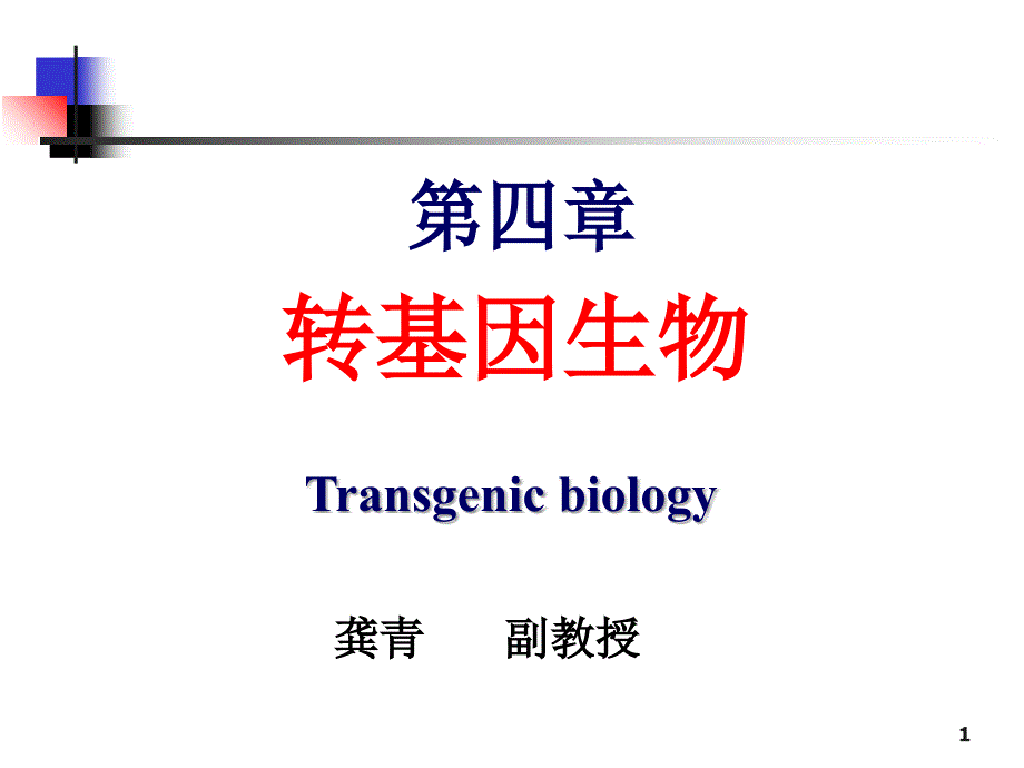 转基因生物第十三周星期五上午课件_第1页