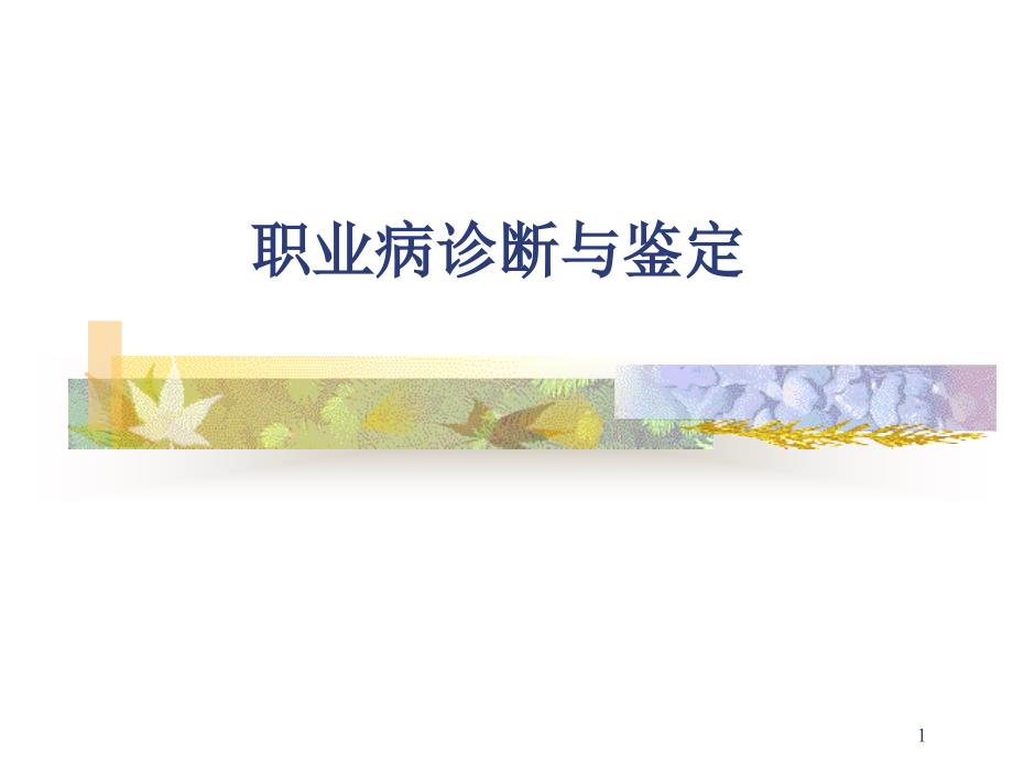 职业病诊断鉴定_第1页