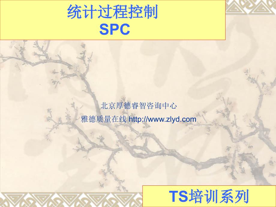 SPC培训ppt课件讲解稿_第1页