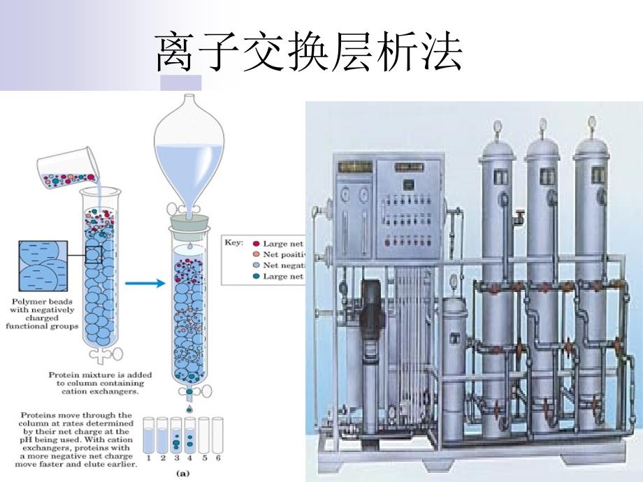 离子交换层析及应用_第1页