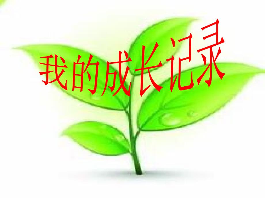 鲁美版小学二年级品德与生活下册《我的成长记录》课件_第1页