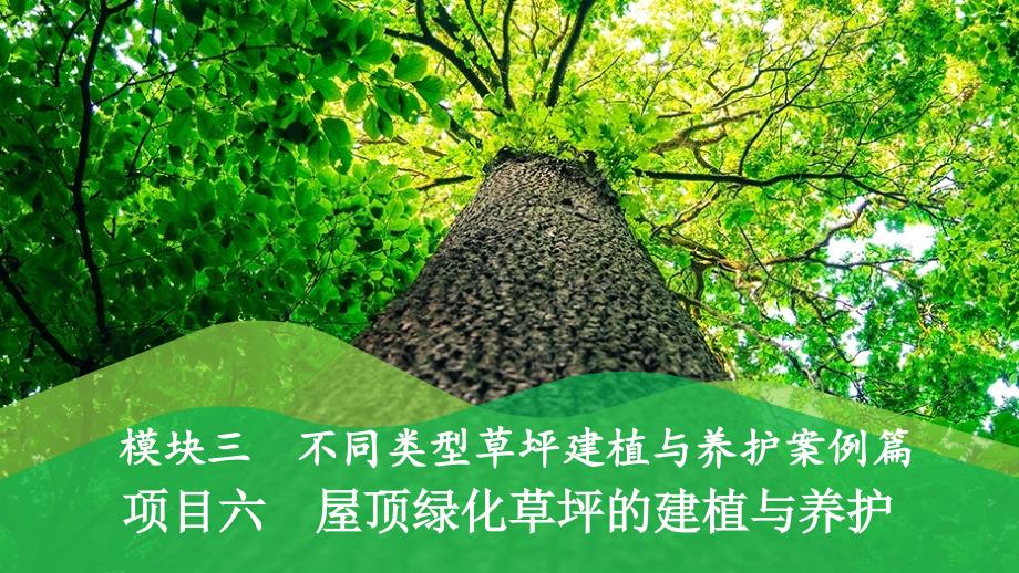 《草坪建植与养护》课件12模块三项目六屋顶绿化草坪的建植与养护_第1页