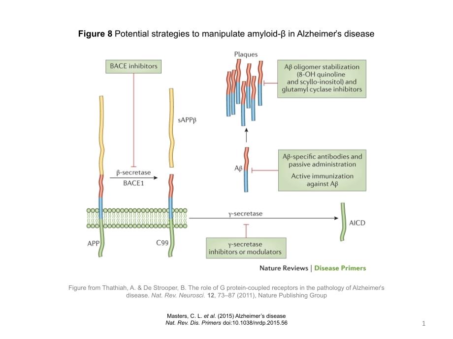 Figure8Potentialstrategiestomanipulateamyloid-βin_第1页