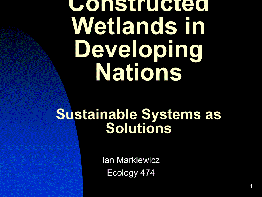 ConstructedWetlandsinDevelopingNationsSustainable_第1页