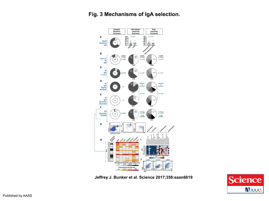 Fig.3MechanismsofIgAselection_第1页