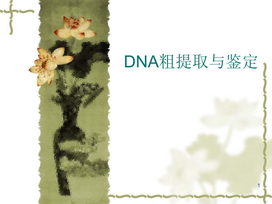 DNA粗提取与鉴定51847_第1页