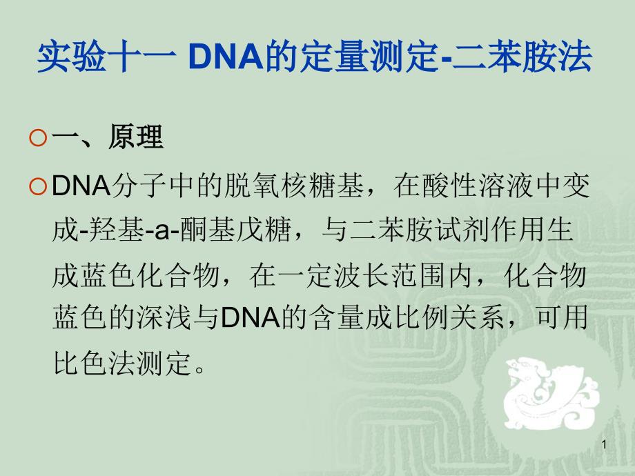 9、DNA的定量测定-二_第1页