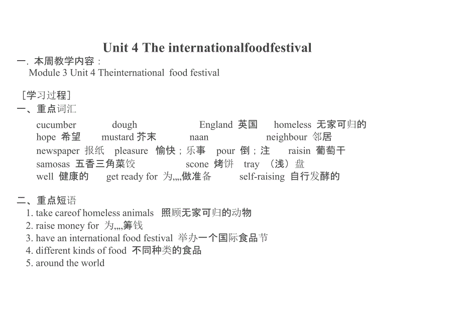 the international food festival知识精讲_第1页