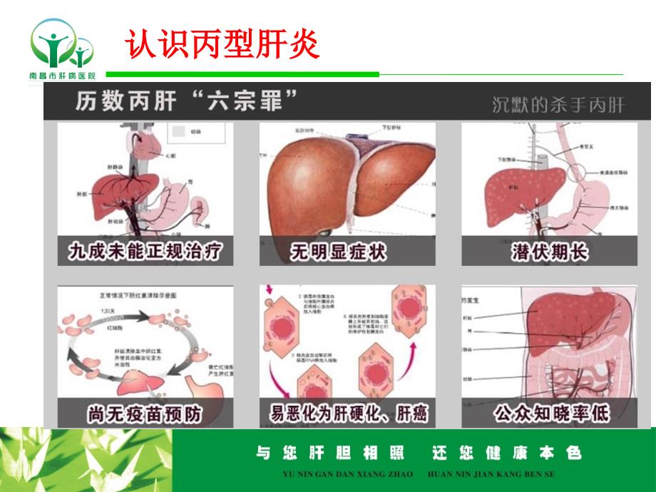 (精)丙型肝炎防治知识讲座_第1页