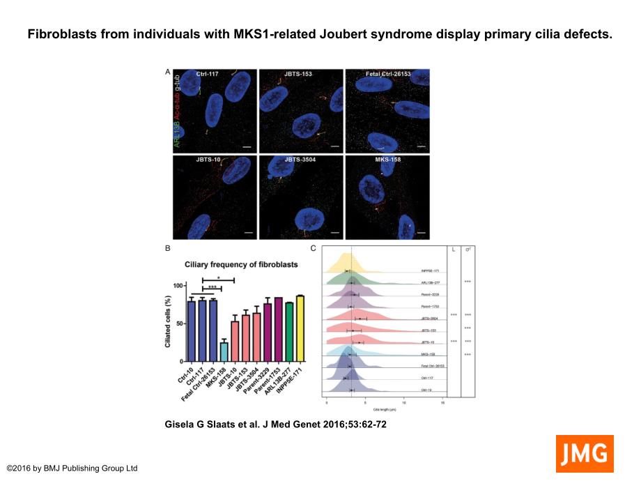 FibroblastsfromindividualswithMKS1-relatedJoubert_第1页