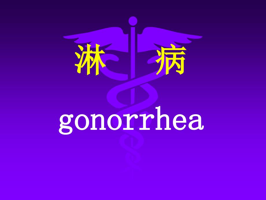 -淋病gonorrhea_第1页