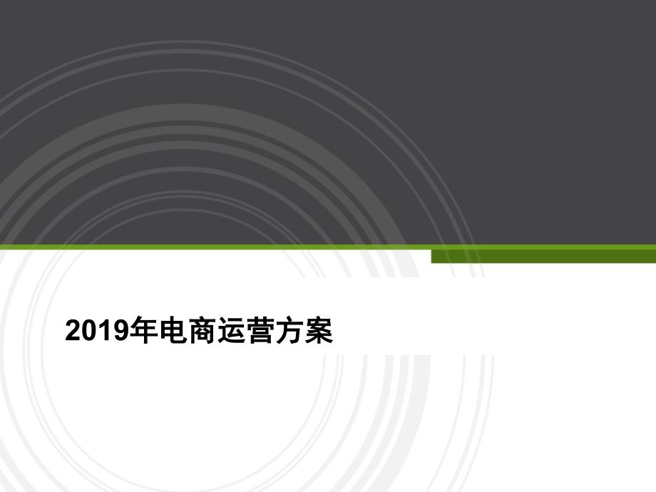 2019年电商新店全面运营策略方案_第1页