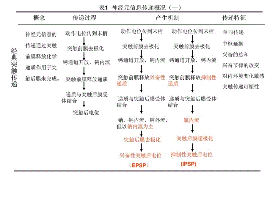 (生理学重点) 神经系统_第1页