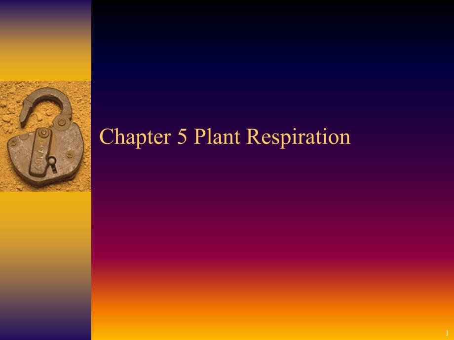 Chapter5PlantRespiration_第1页