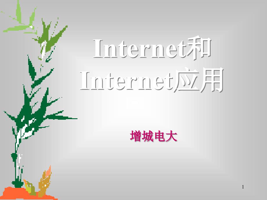 Internet和Internet应用_第1页