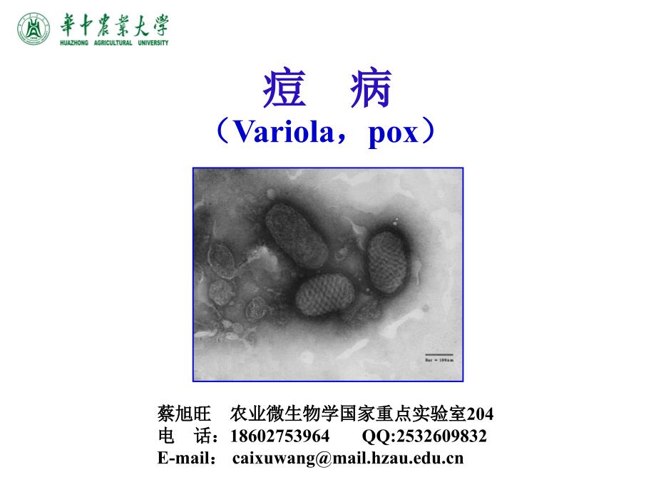 《动物传染病学（人畜共患）》课件3-2(13)痘病_第1页