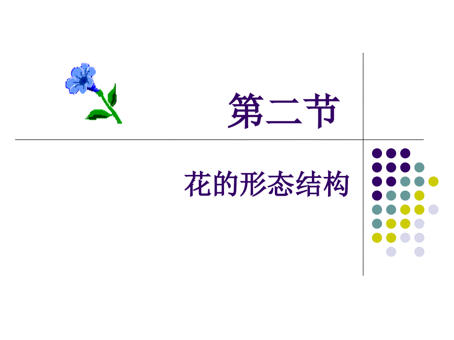 花的形态结构植物学优秀课件_第1页