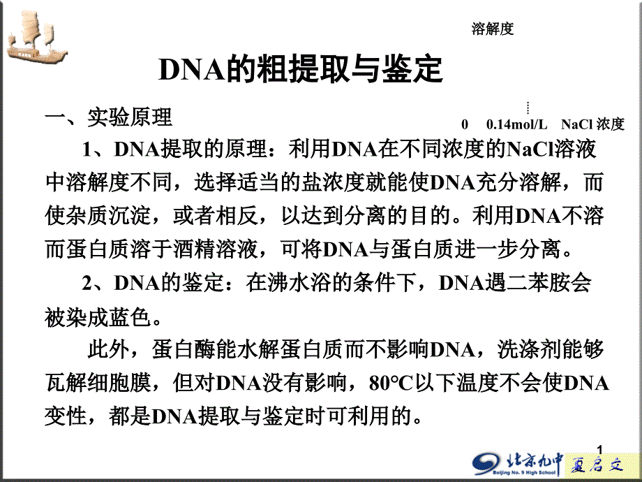 DNA的粗提取与鉴定51672_第1页