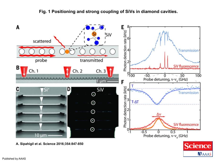 Fig.1PositioningandstrongcouplingofSiVsindiamond_第1页