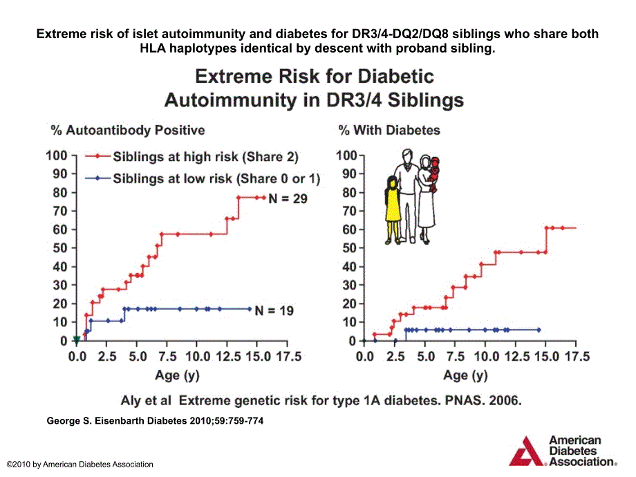 ExtremeriskofisletautoimmunityanddiabetesforDR34-DQ_第1页