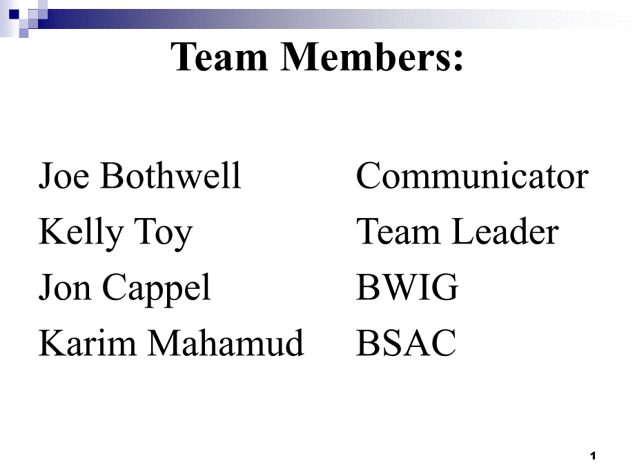 TeamMembersJoeBothwellCommunicatorKellyToyTeam_第1页