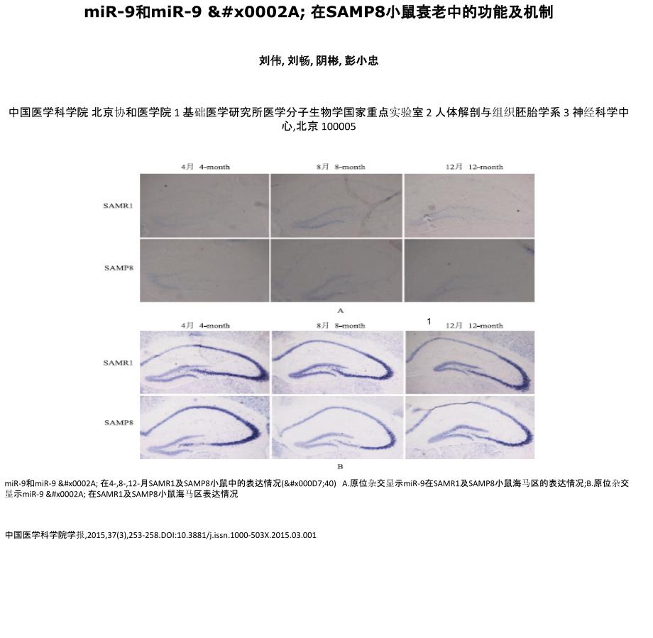 miR-9和miR-9x0002A在SAMP8小鼠衰老中的功能及机制_第1页