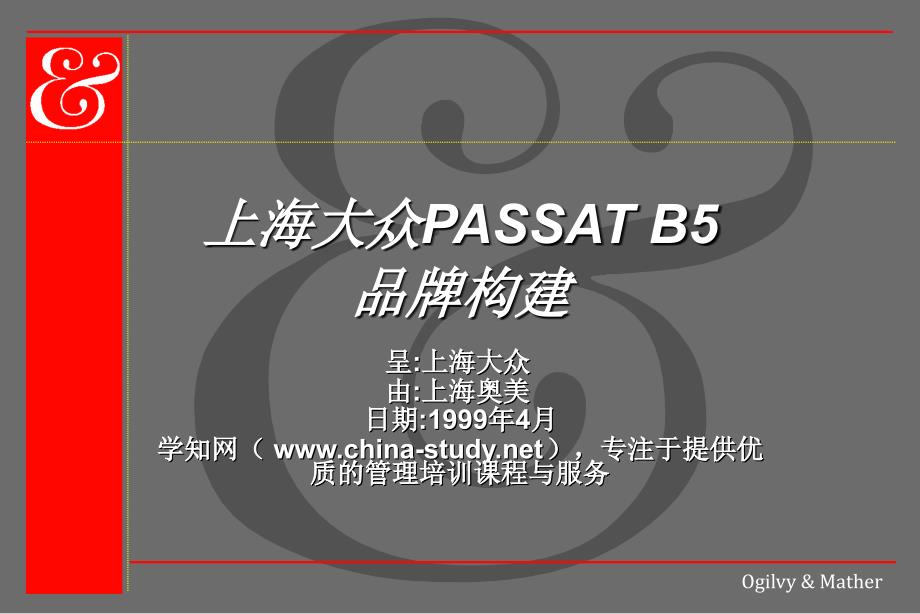 奥美上海大众PASSATB品牌构建_第1页