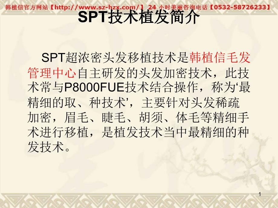 SPT超浓密头发移植技术_第1页